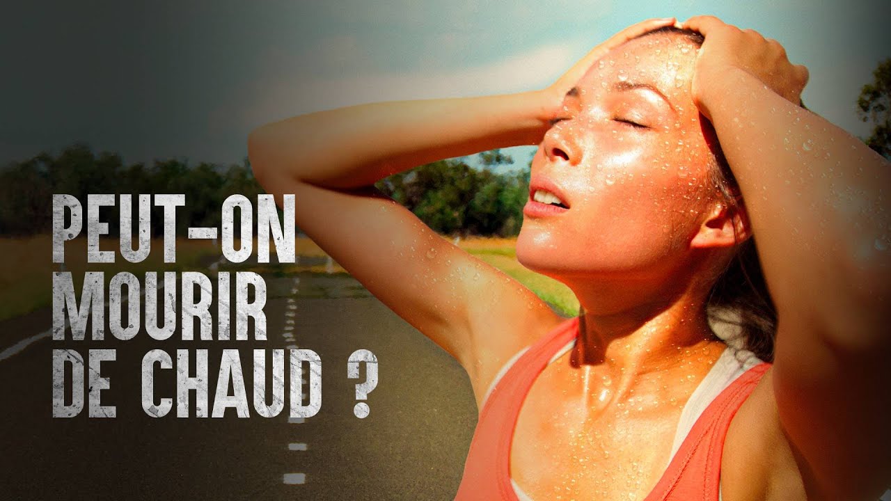 Comment survivre à la canicule