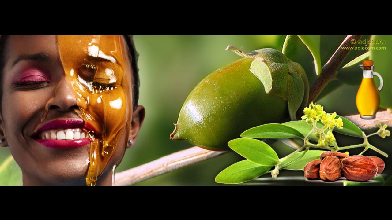 huile de jojoba cheveux bienfaits