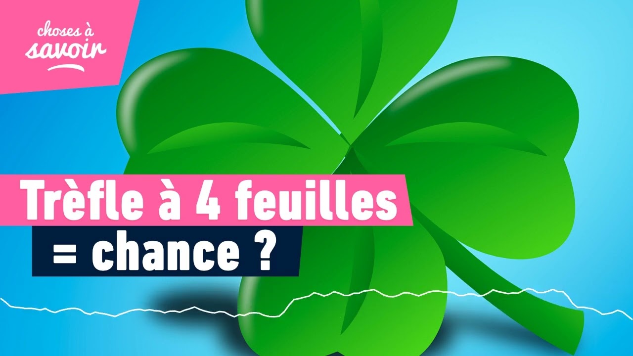 Pourquoi le trèfle à 4 feuilles porterait chance ?