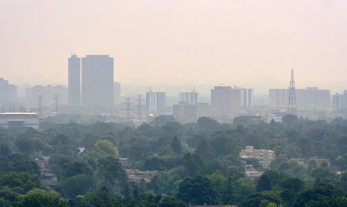 À Londres, la réduction de la pollution liée au trafic favorise le développement pulmonaire chez les enfants