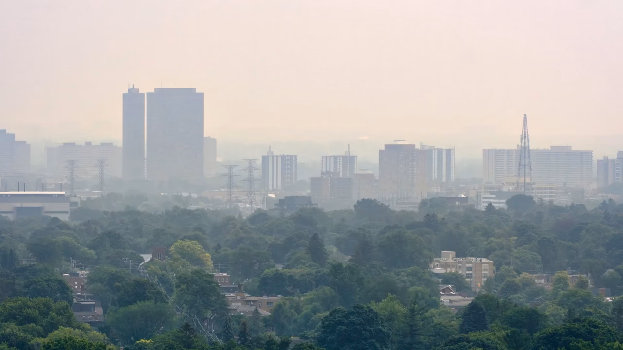 À Londres, la réduction de la pollution liée au trafic favorise le développement pulmonaire chez les enfants