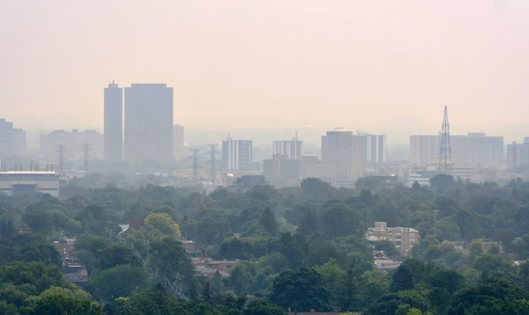 À Londres, la réduction de la pollution liée au trafic favorise le développement pulmonaire chez les enfants