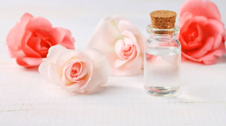 Parfum yara rose : découvrir une fragrance délicate et captivante